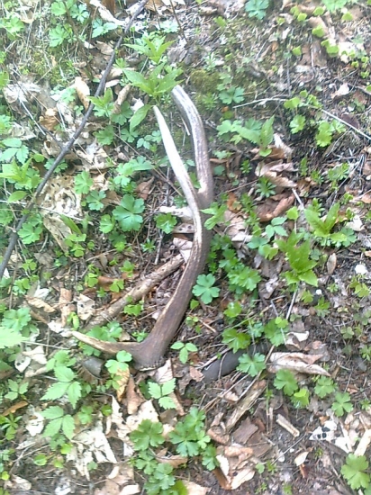 par minút po zhodení