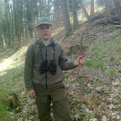 MLADY ZHODAR