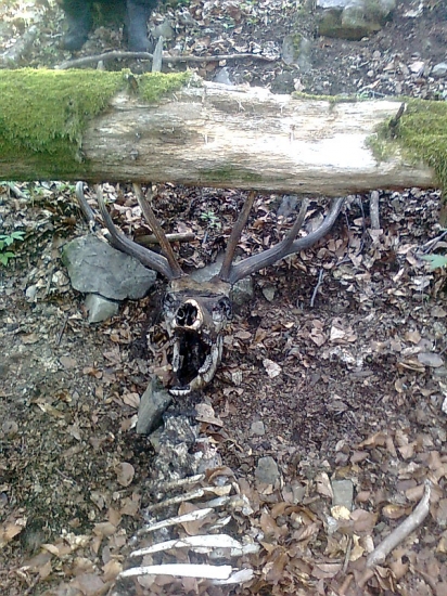 tak sme ho našli 10torak