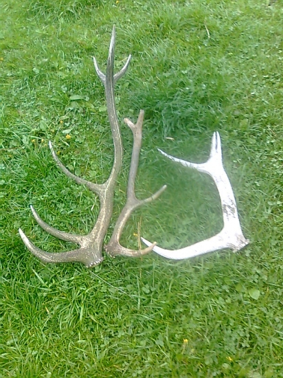 ešťe sa vždy najdu