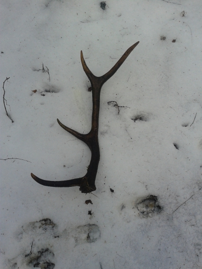 fčerajši zas stari