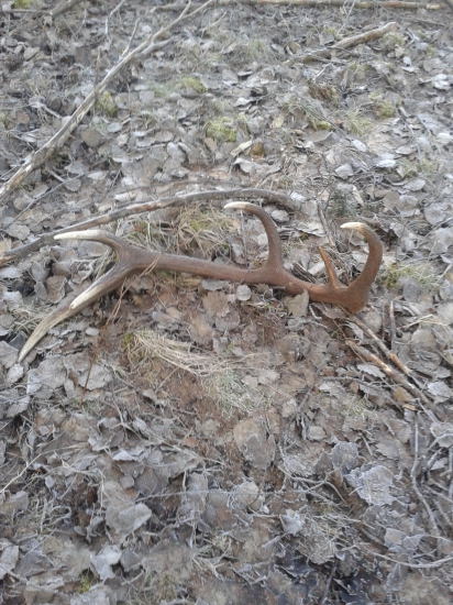 konecne sa aj mne podarilo čerstvy