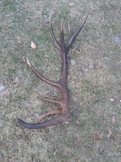 pekný 14 torak bratov