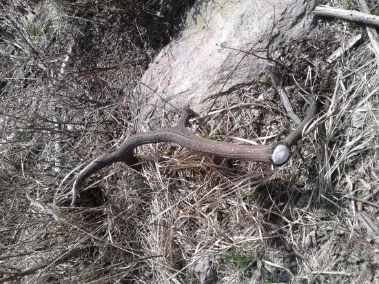 konečne čerstvy po mesiaci uš na čase