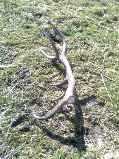 konečne sa zadarilo2 20