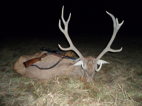 Prvý pohľad bol prekvapujúci