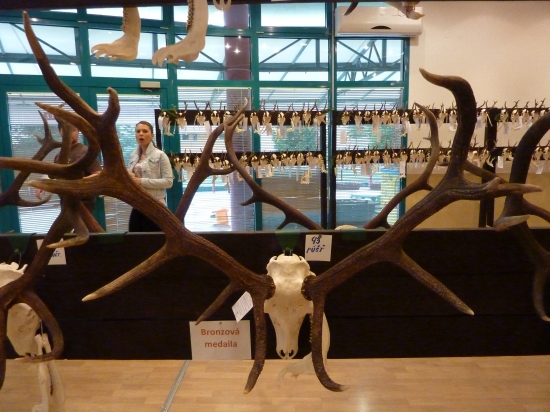 vek/body k ID fotky  226295 z chovateľskej p.