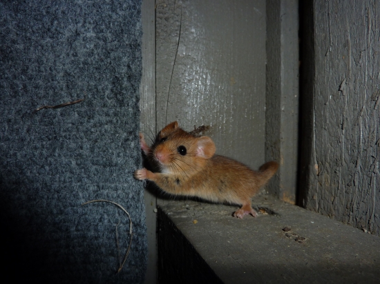 Dnes sme čakali spolu ...