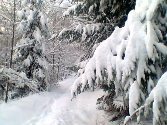 prechádzka Trojkráľová