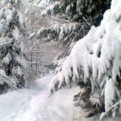 prechádzka Trojkráľová