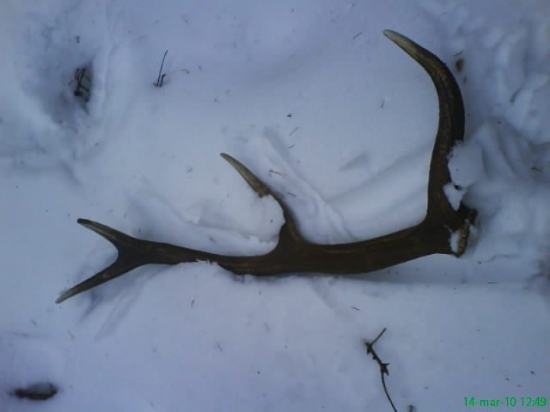 Aj malé ryby sú ryby