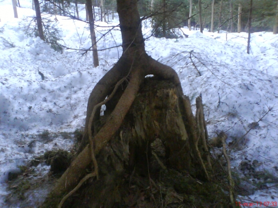 Zaujímavé miesto na rast