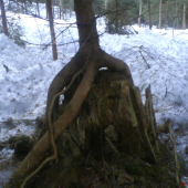 Zaujímavé miesto na rast