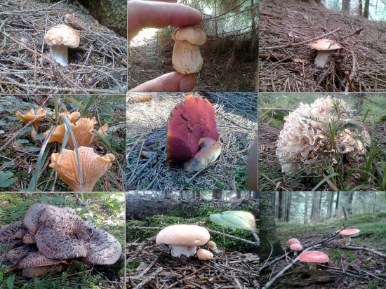 Trocha tepla.....keď je tak sychravo