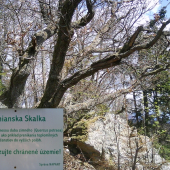 Z prechádzky