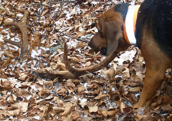 Zabudnutý....a pri solisku