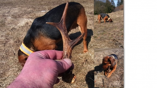 Už vyhráva 2:0 moja kočena