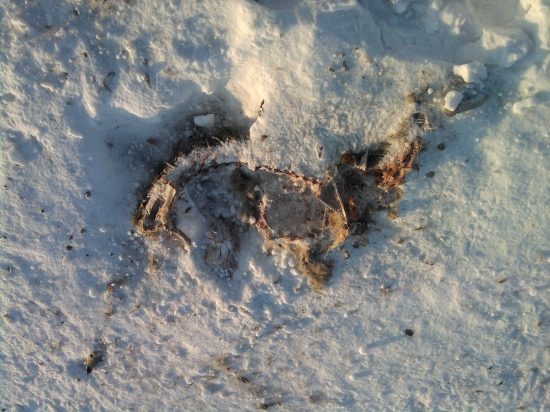 aj taká býva zima...