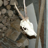 potesí