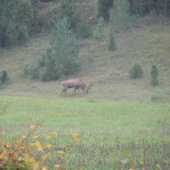 kdeze sa stratila ta moja stara