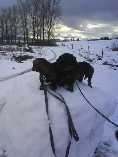 Koniec dlhej púti po revíri  :) Nahnewala si ma :DDD