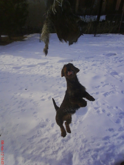 Ked niesme w hore aspon doma sa zabavíme :)