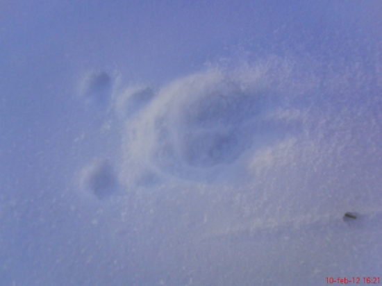 Dnesne sondowanie :D