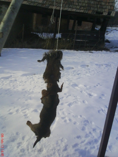 Pohojdám sa ešte chwílku :D