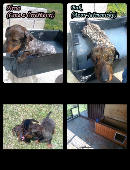 Ošetrenie po dlhej zime