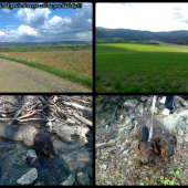 Krasna nedela:)