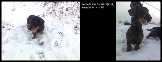 Konečne je to tu!!!