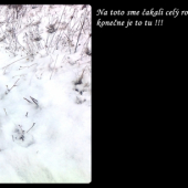 Konečne je to tu!!!