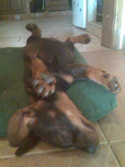 takto si spinkaám v teplúčku :)