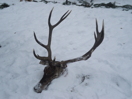 nevieme, čo sa stalo