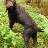Ragnar
