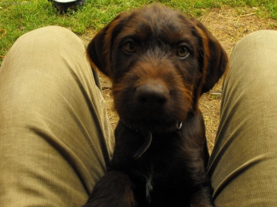 Ragnar o nieco starší