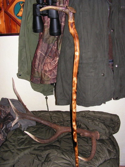 na prechadzku palica