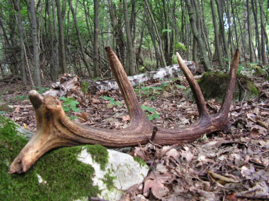 tade som uz presiel :)))