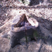 prekvapenie pre J. baci