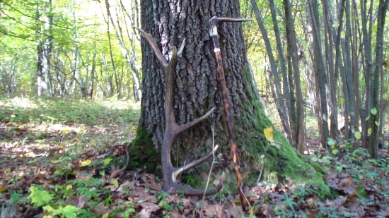 vcerajsia prechadzka