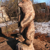 Medved