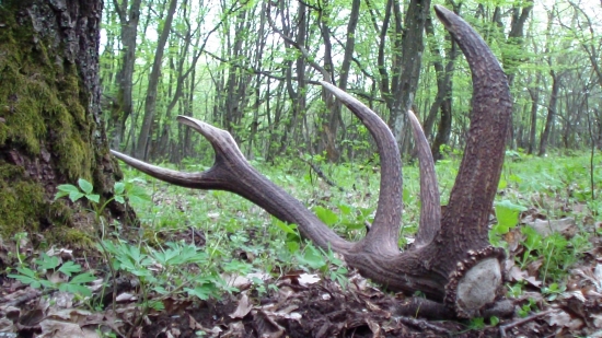 nasiel som v epicentrum