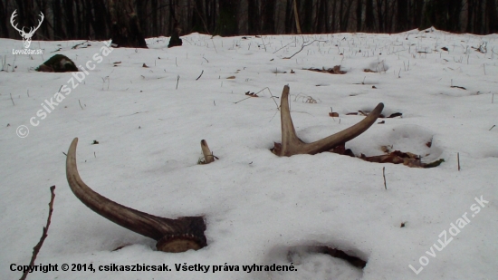 narodeninovy-dakujem!