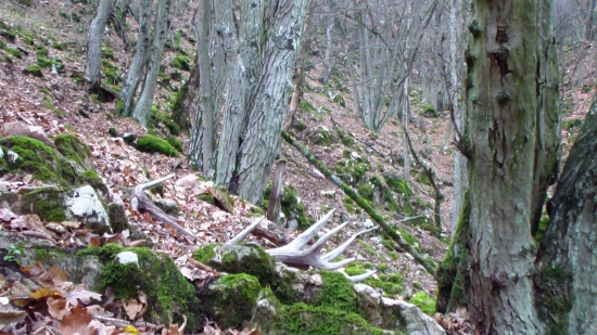 november 2015 - 2,88 kg