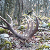 na hrebeni
