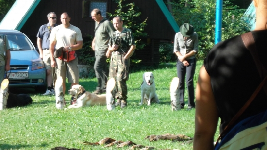 KJMP 2O11 Trusalová