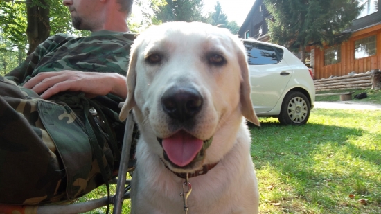 čakanie na výsledky skušok