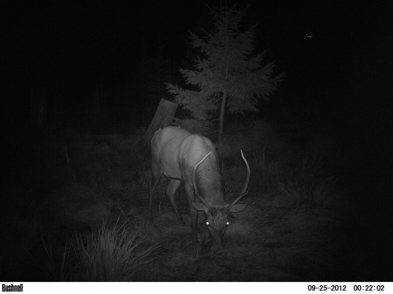 Som budúci postrach.