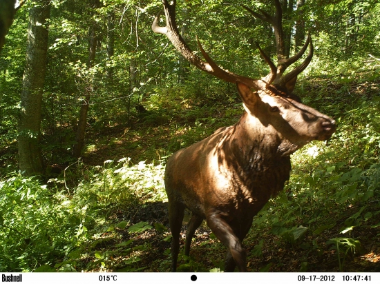 Prechádzal natesno.