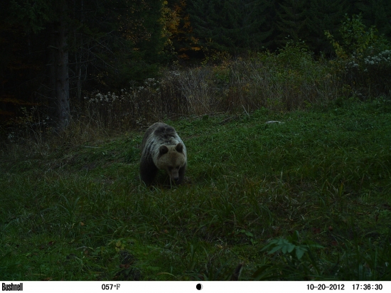 Môj prvý, konečne!